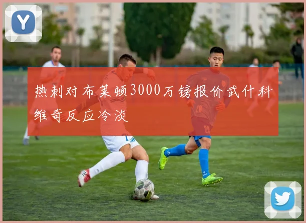 热刺对布莱顿3000万镑报价武什科维奇反应冷淡